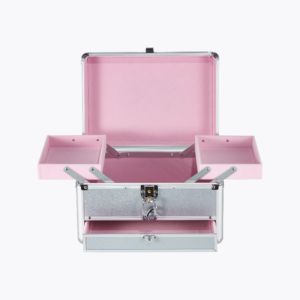 Pro-Makeup Case