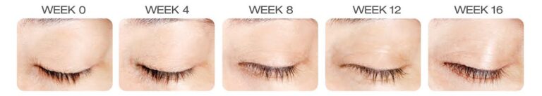 Lashes Week by Week