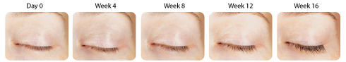 eyelashes1_week-by-week_text